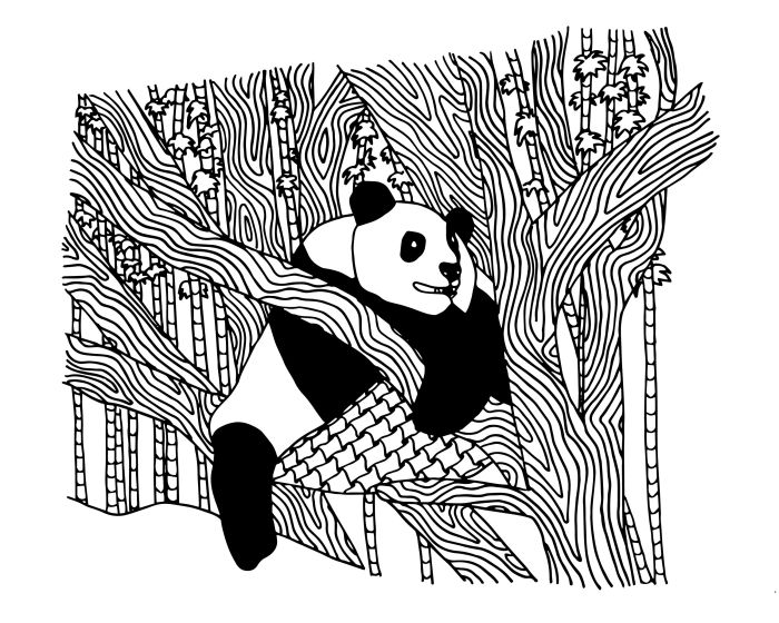 Panda Bear Coloring Book A Creative Venture