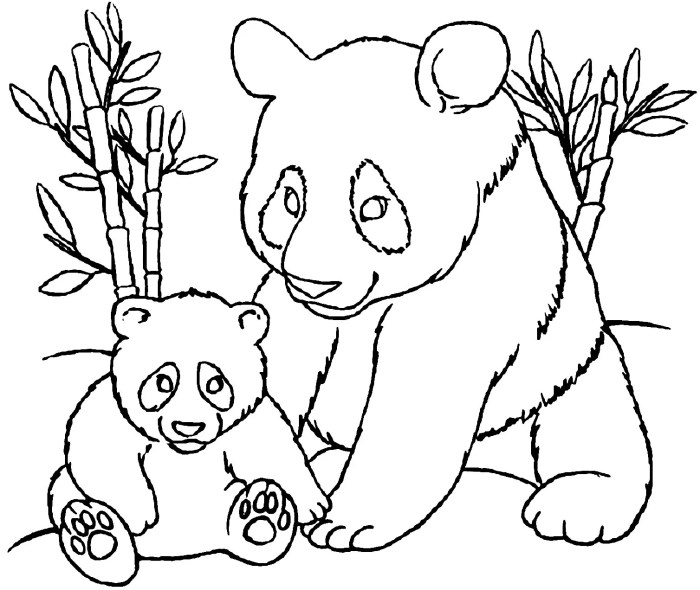 Panda bear coloring book